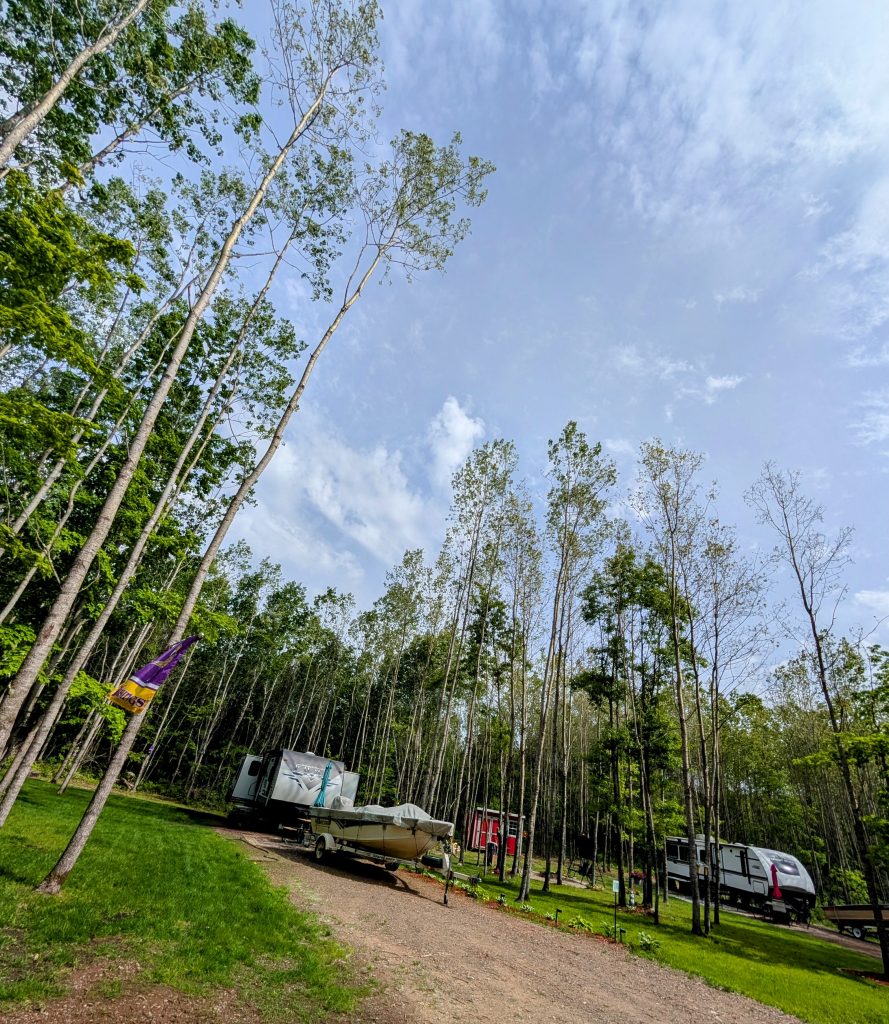 PXL_20250529_150357312~2