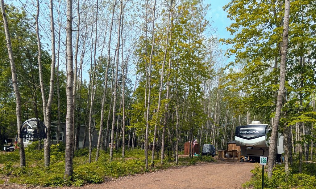 PXL_20250529_150819852~2